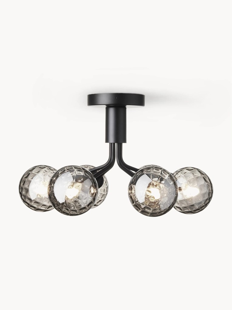 Glass Ball Pendant Lamp Apiales