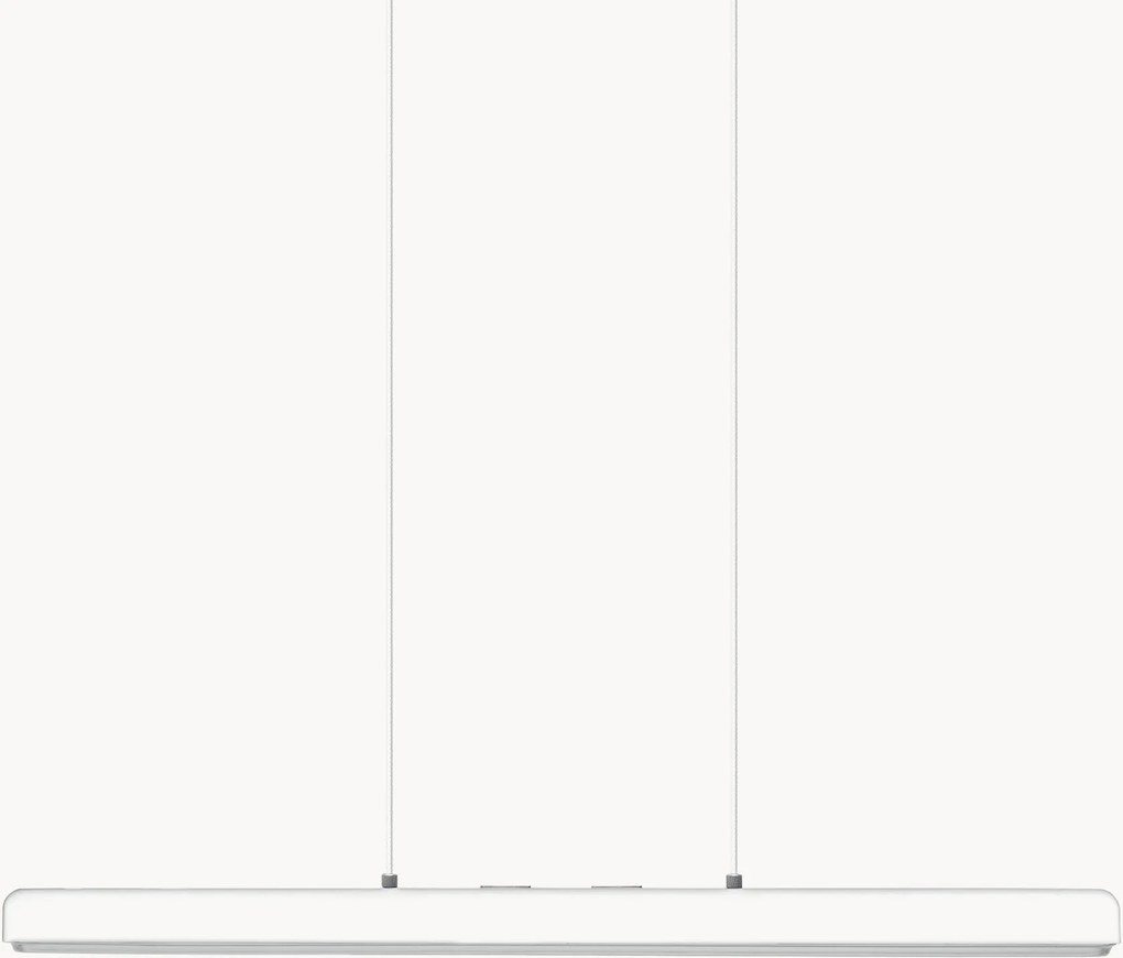 Candeeiro suspenso Hazel Branch