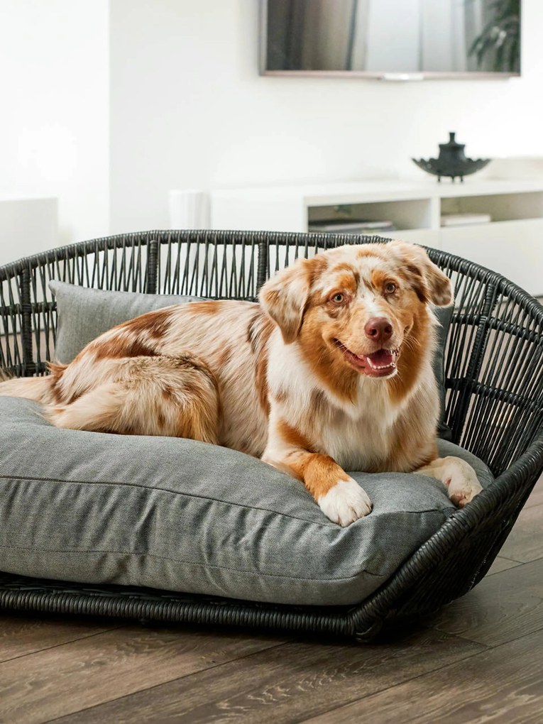 Cama para cães para interior e exterior Prado