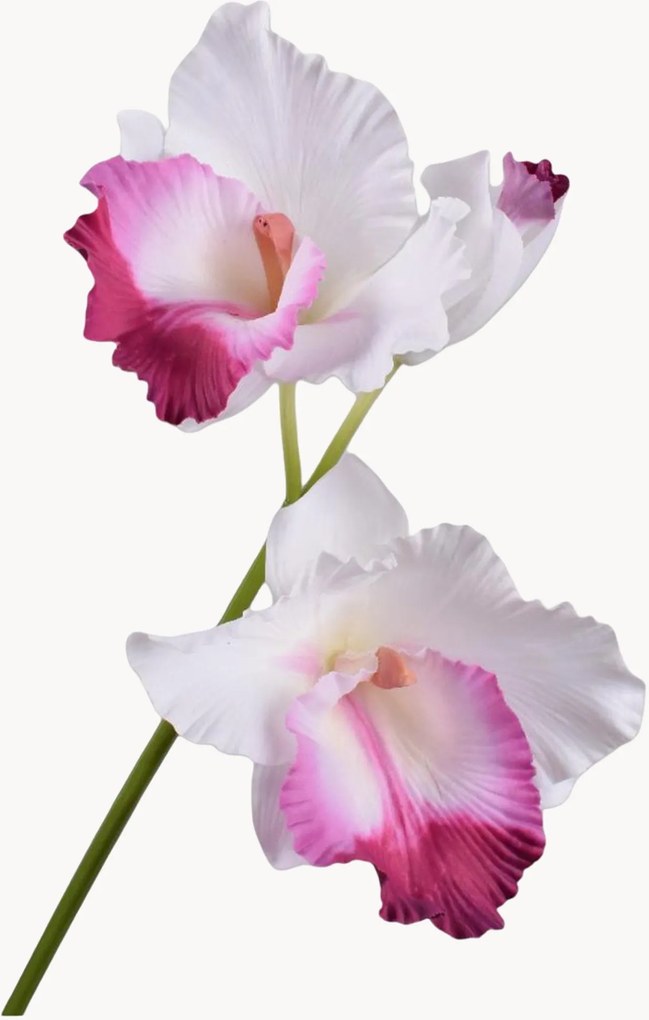 Flores artificiais Cattleya, conjunto de 2