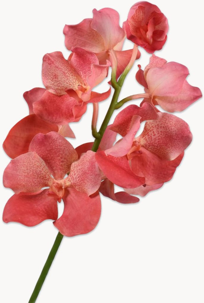 Flores artificiais artesanais Vanda, conjunto de 2