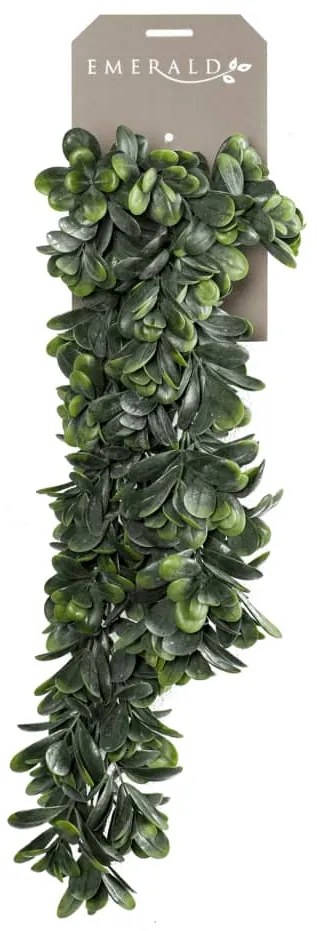 Crassula artificial 80 cm