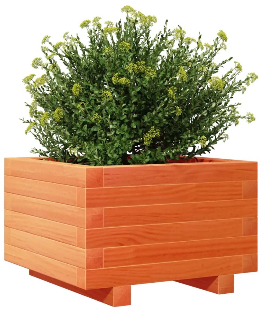 Vaso/floreira de jardim 40x40x26,5 cm pinho maciço castanho mel