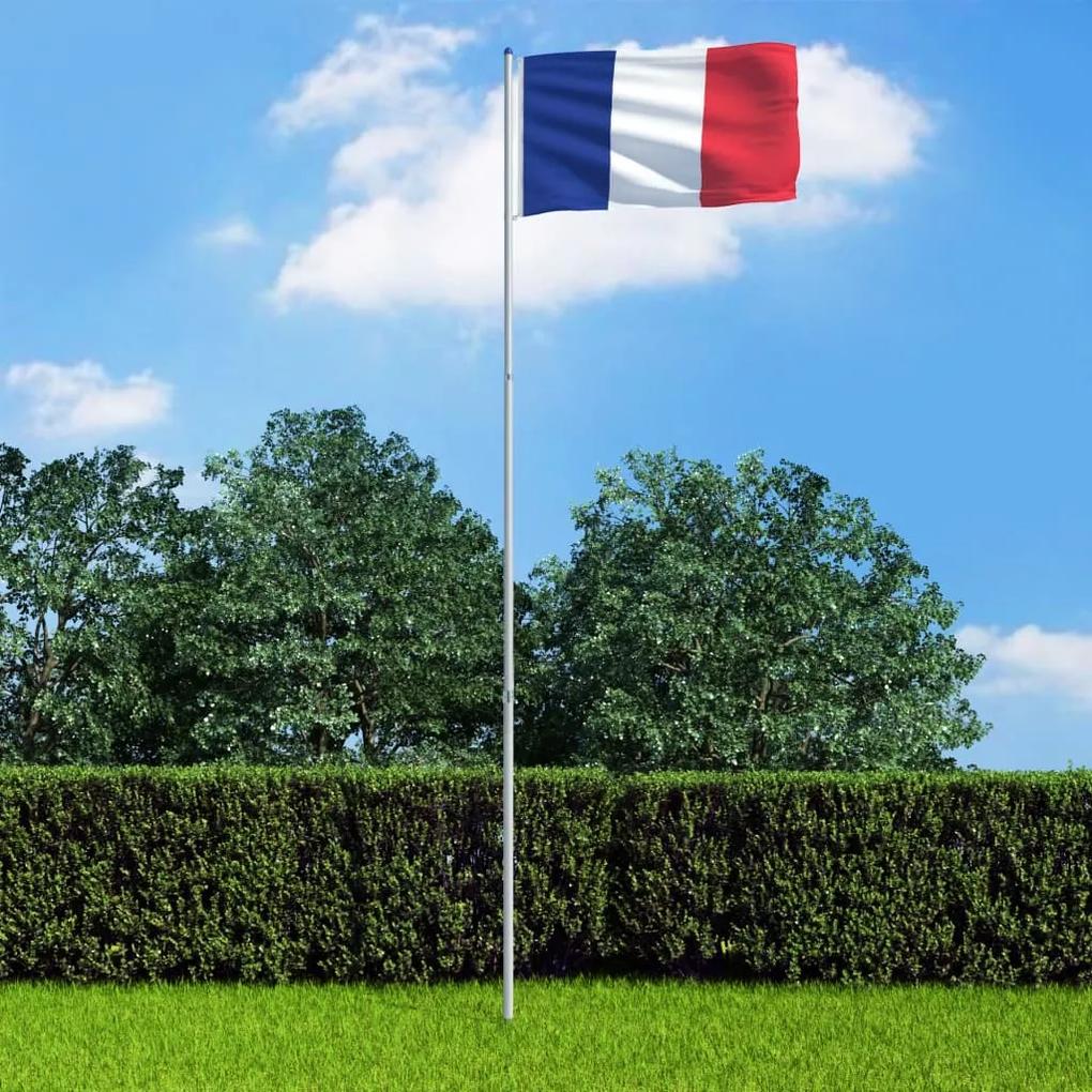 3053336 vidaXL Bandeira da França com mastro de alumínio 6 m