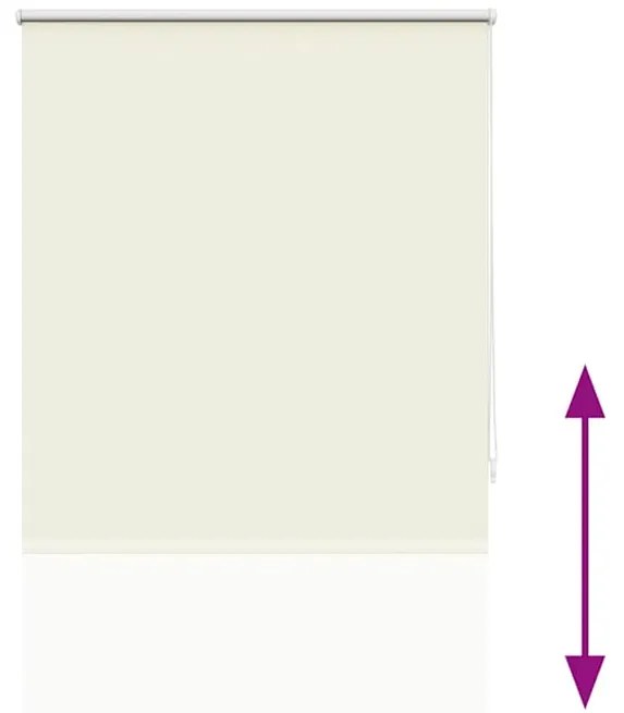 Estore de rolo 80 x 230 cm, Branco escuro