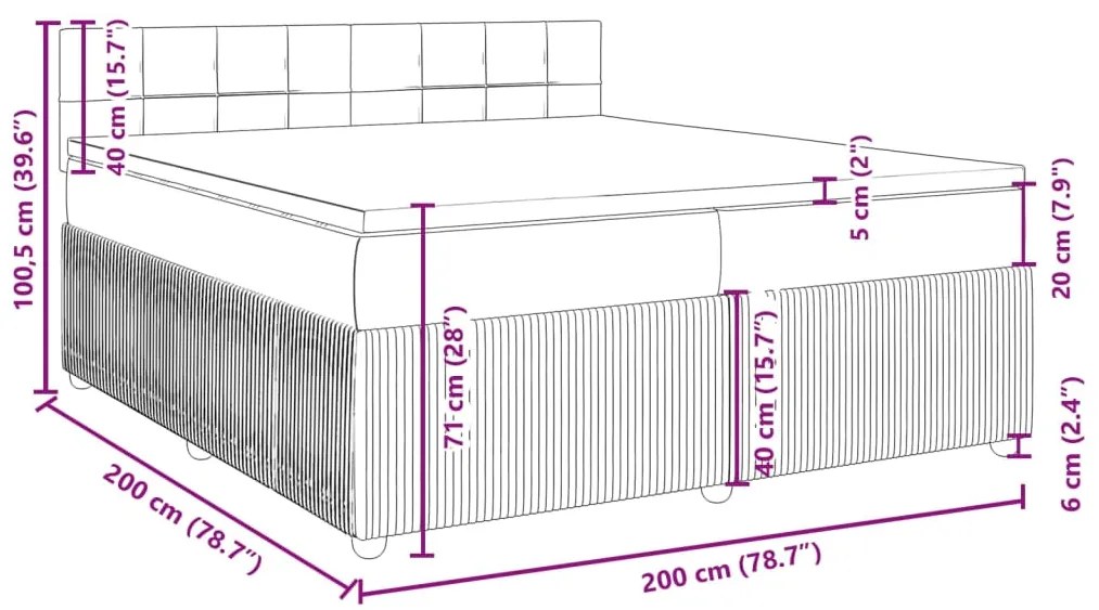 Cama com molas/colchão 80x200 cm veludo cinza-escuro