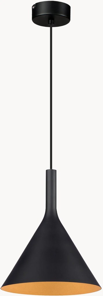 Candeeiro suspenso Asia