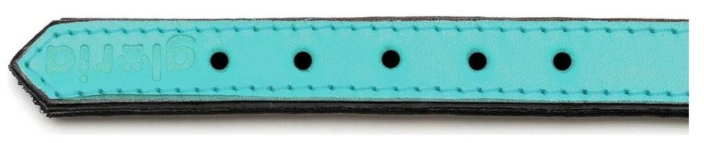 Coleira para Cães Gloria Acolchoado Turquesa (30 x 1,5 cm)
