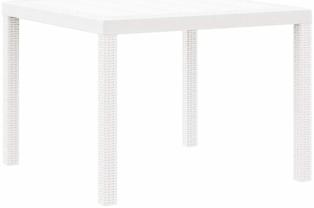 Conjunto de Jantar Jardim Branco 5 pcs Branco Vime de resina