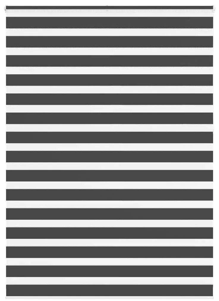 vidaXL Cortina de zebra 155x230 cm largura do tecido 150,9cm poliéster