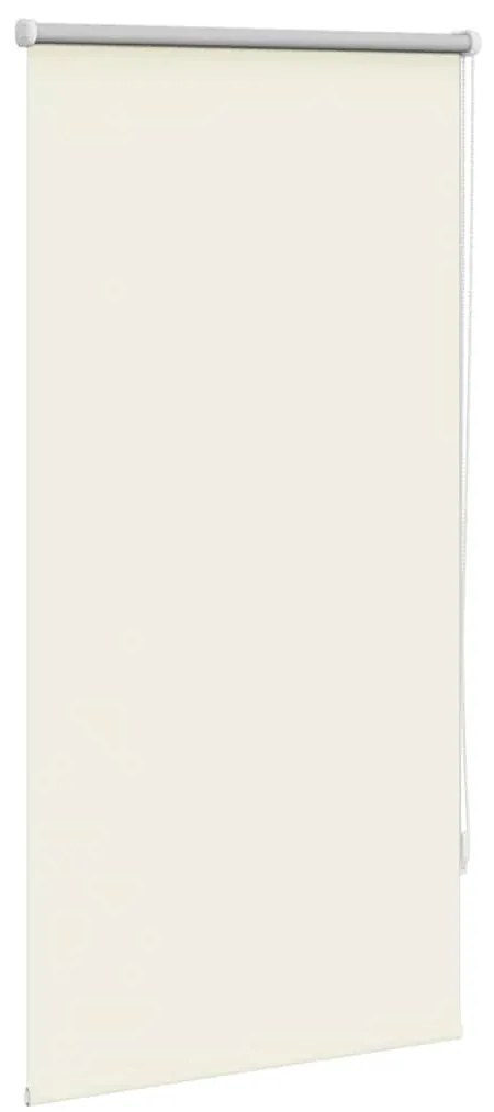 Estore de rolo 60 x 120 cm, Branco escuro