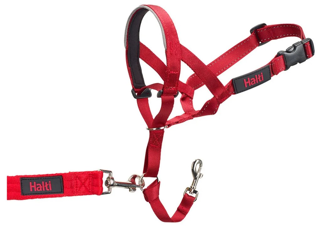 Coleira de Treino para Cães Company of Animals Halti Açaime (35-48 cm)