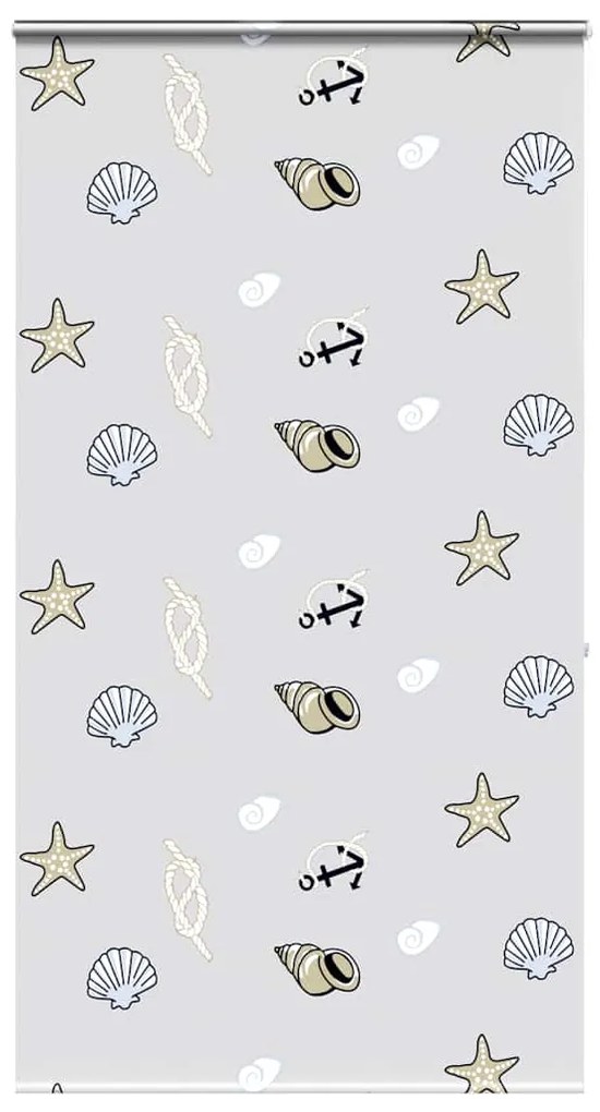 Rolo de Duche Estores com 120x240 cm Largura Tecido 116 cm