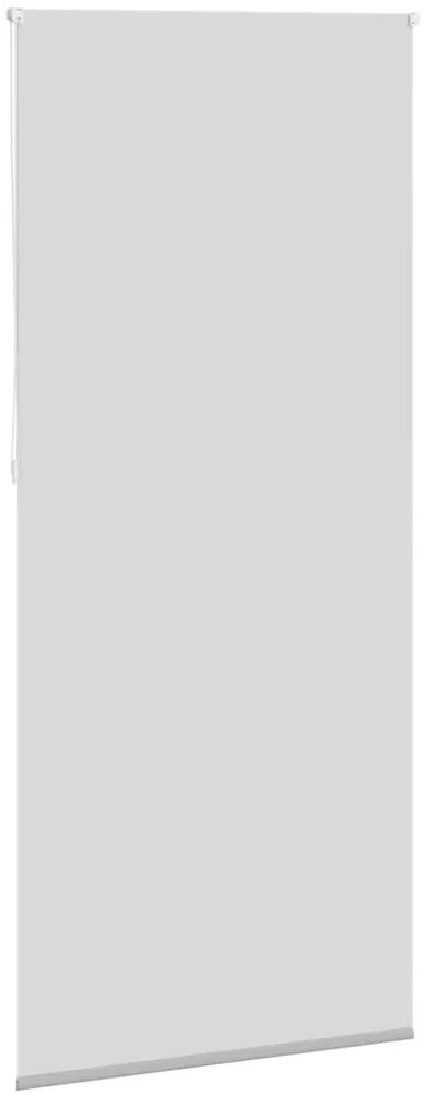 Estore de rolo 100 x 230 cm, Cinza
