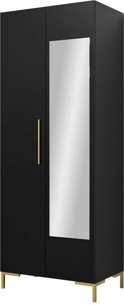 Roupeiro Nomal I, Dourado, Preto, 196x74x44cm, 54.7 kg, Portas para roupeiro: Com dobradiças, Número de prateleiras: 2, Número de prateleiras: 2