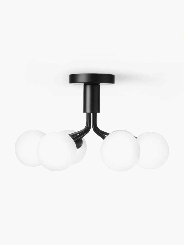 Glass Ball Pendant Lamp Apiales