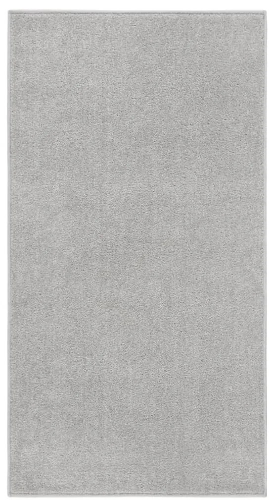 vidaXL Tapete de pelo curto 80x150 cm cinzento-claro