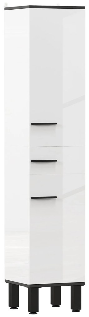 Armário Moderno – Modelo Nice – 34x34x170 – Armazenamento Vertical – B