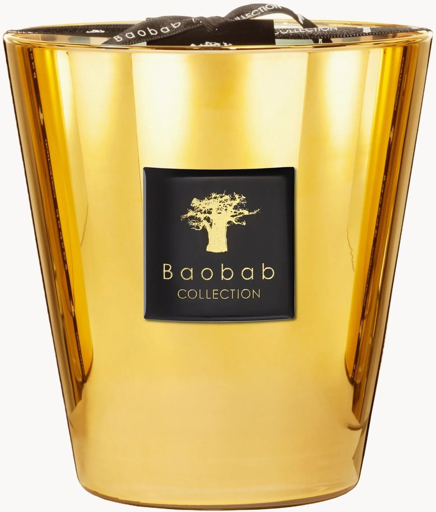 Vela perfumada com quatro pavios Exclusives (jasmim, gálbano, almíscar)