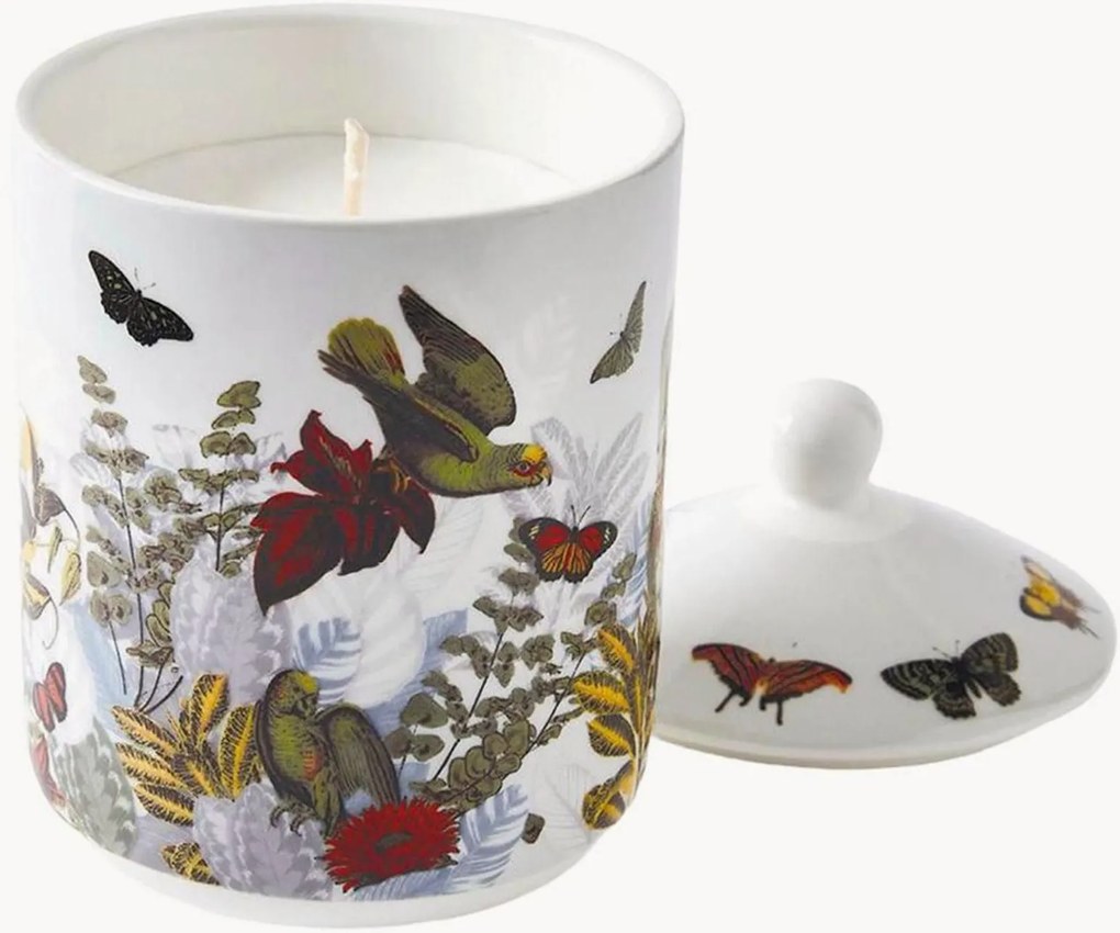 Vela perfumada Jardin D'Hiver (figueira)