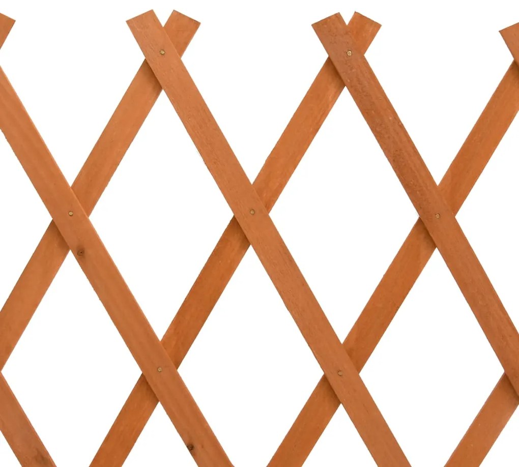 Vedação em treliça para jardim 150x80 cm abeto maciço laranja