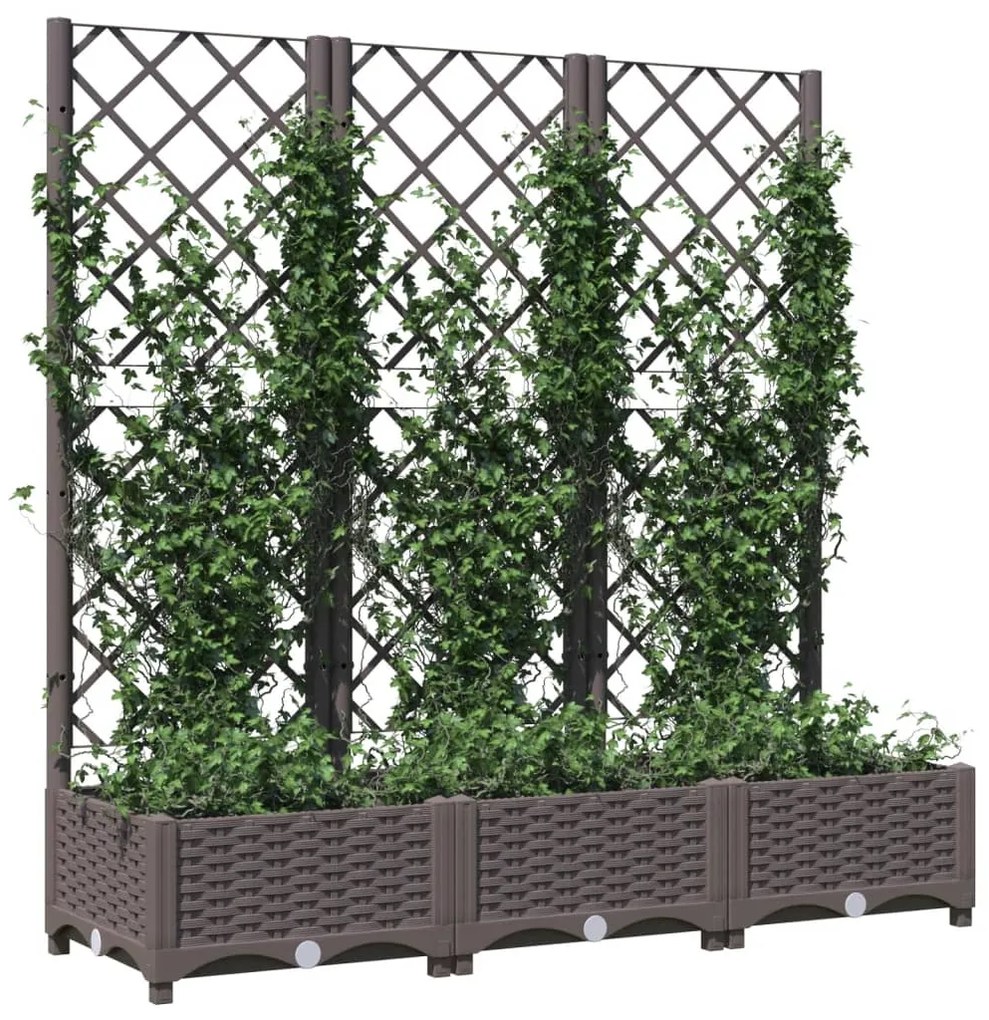 Vaso/floreira jardim c/ treliça 120x40x121,5 cm PP castanho