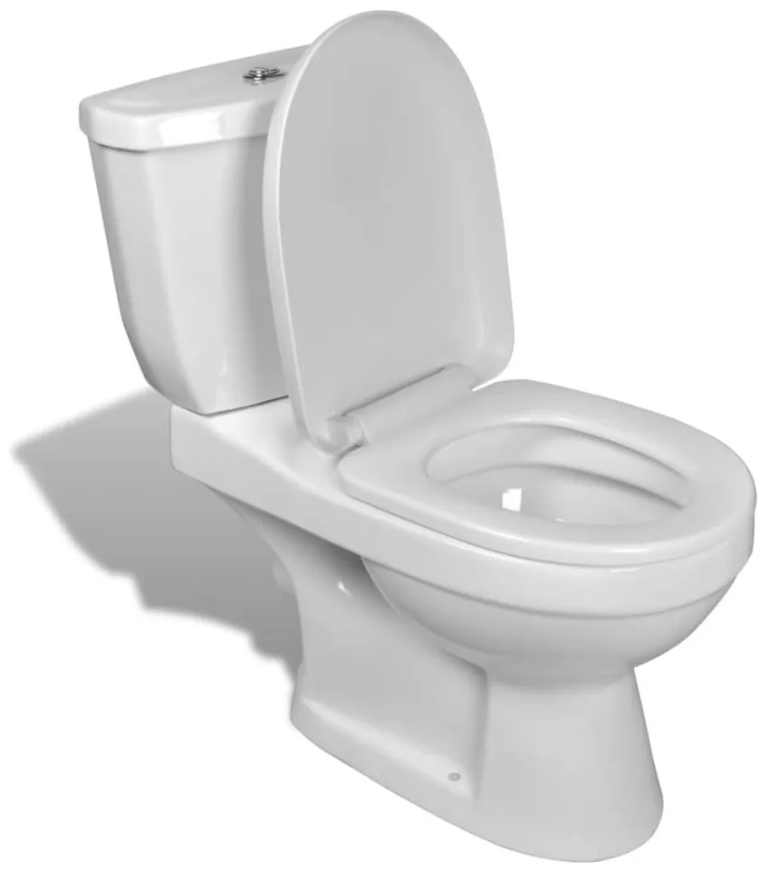 240549 vidaXL Sanita com autoclismo em branco