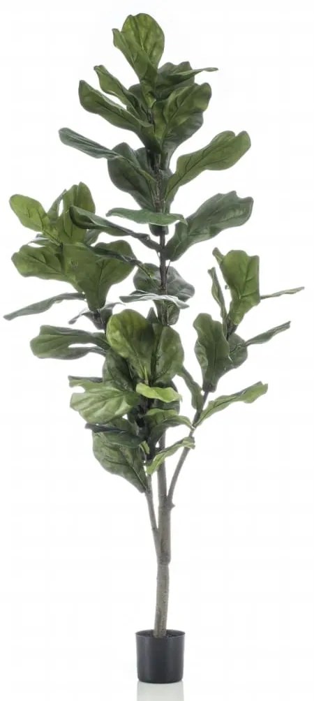423643 Emerald Figueira folha de violino artificial 160 cm