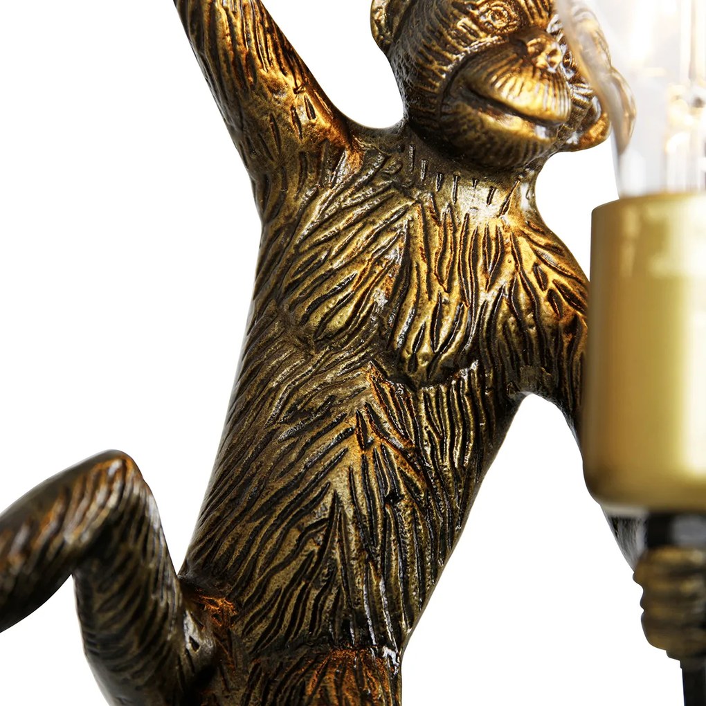 Candeeiro de Parede Macaco Dourado - Animal Monkey Clássico / Antigo