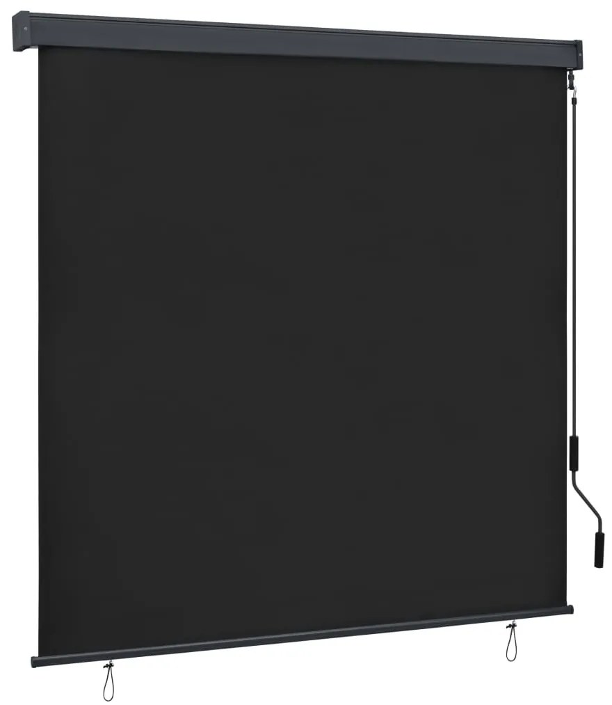 vidaXL Estore de rolo para exterior 160x250 cm antracite