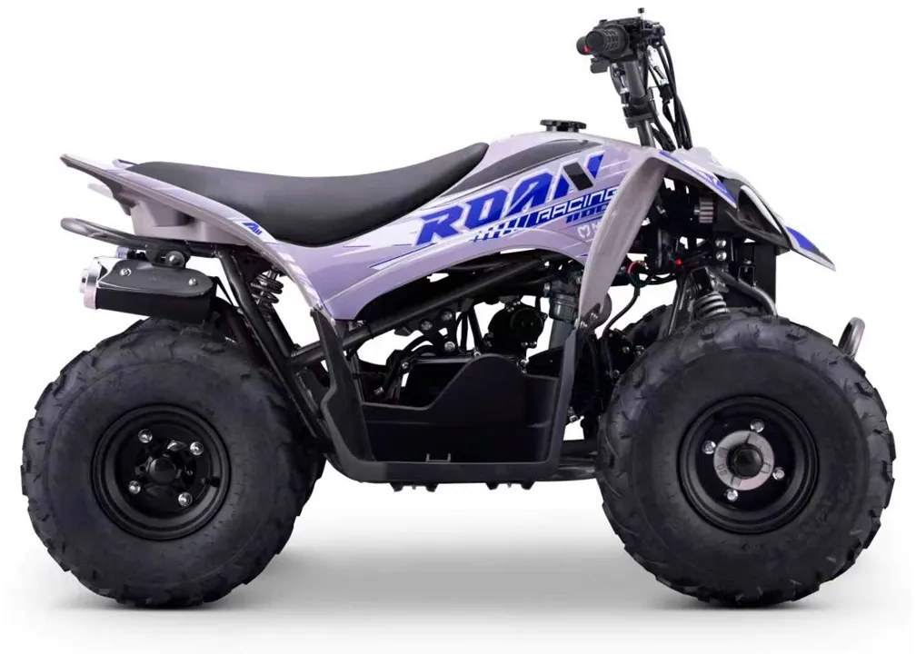 MINI MOTO 4 GASOLINA PARA CRIANÇAS velocidade até 45Km/h C/Limitador DAKAR 110cc Automática