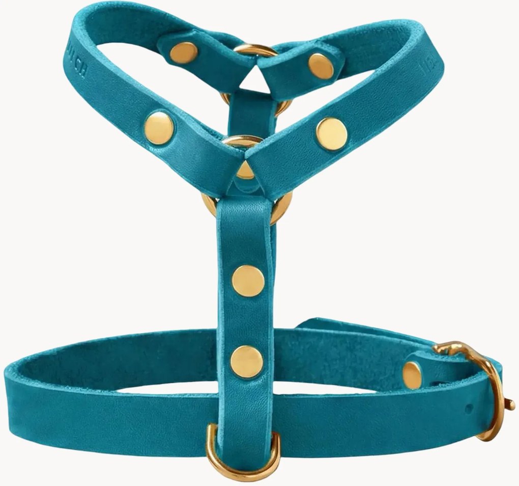 Peitoral para cão em pele Y-Harness, vários tamanhos