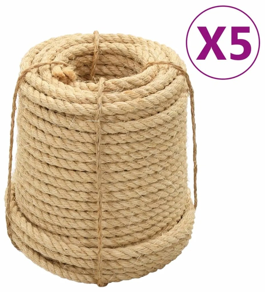 3196229 vidaXL Cordas de sisal 5 pcs 14 mm 100 m
