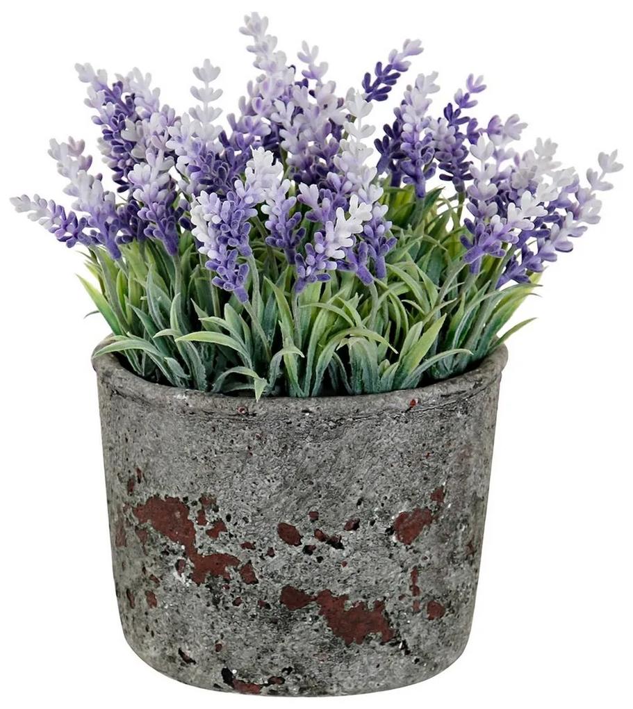 Flores Decorativas DKD Home Decor Lavanda Cimento Ferro PE (15 x 15 x 21 cm)