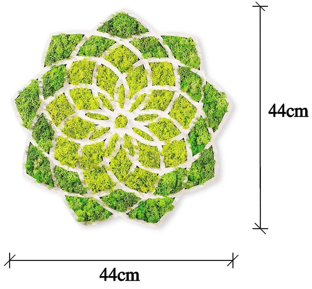 Acessório Decorativo de Parede Daisy – Verde/Branco – 44 x 1,6 x 44 cm