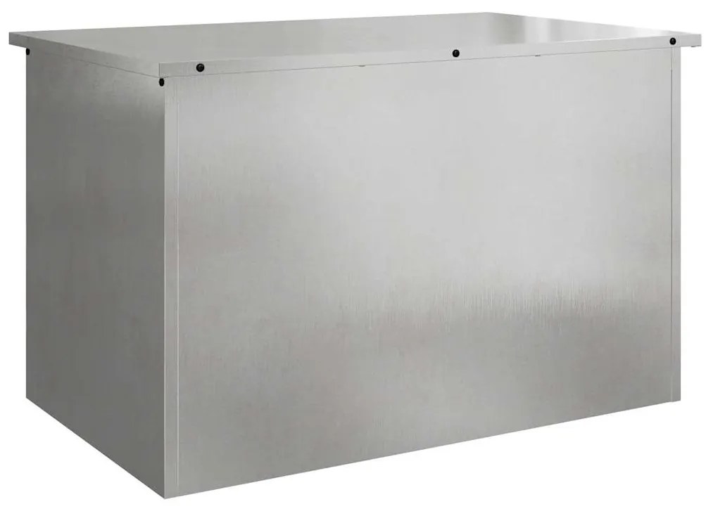Caixa de Armazenamento Externa Prateado 80 x 50.5 x 50 cm