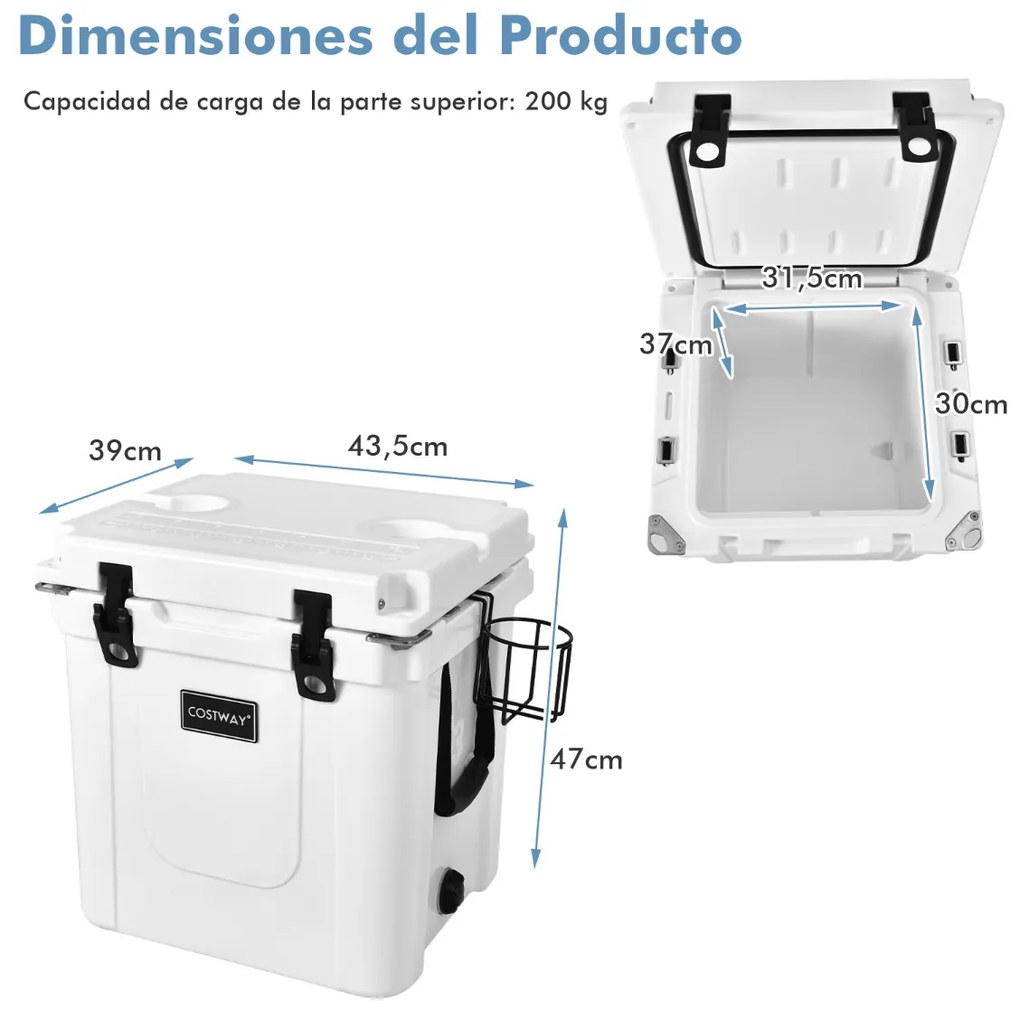 Geleira Termoeléctrico Portátil 31 L Função de Arrefecimento para Campismo Picnic Bebidas 43,5 x 39 x 47 cm Branco