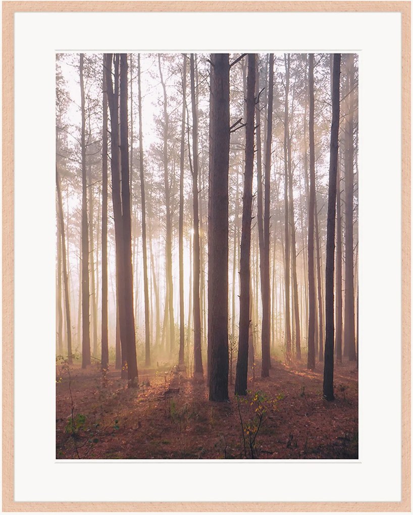Impressão digital emoldurada Into The Foggy Woods