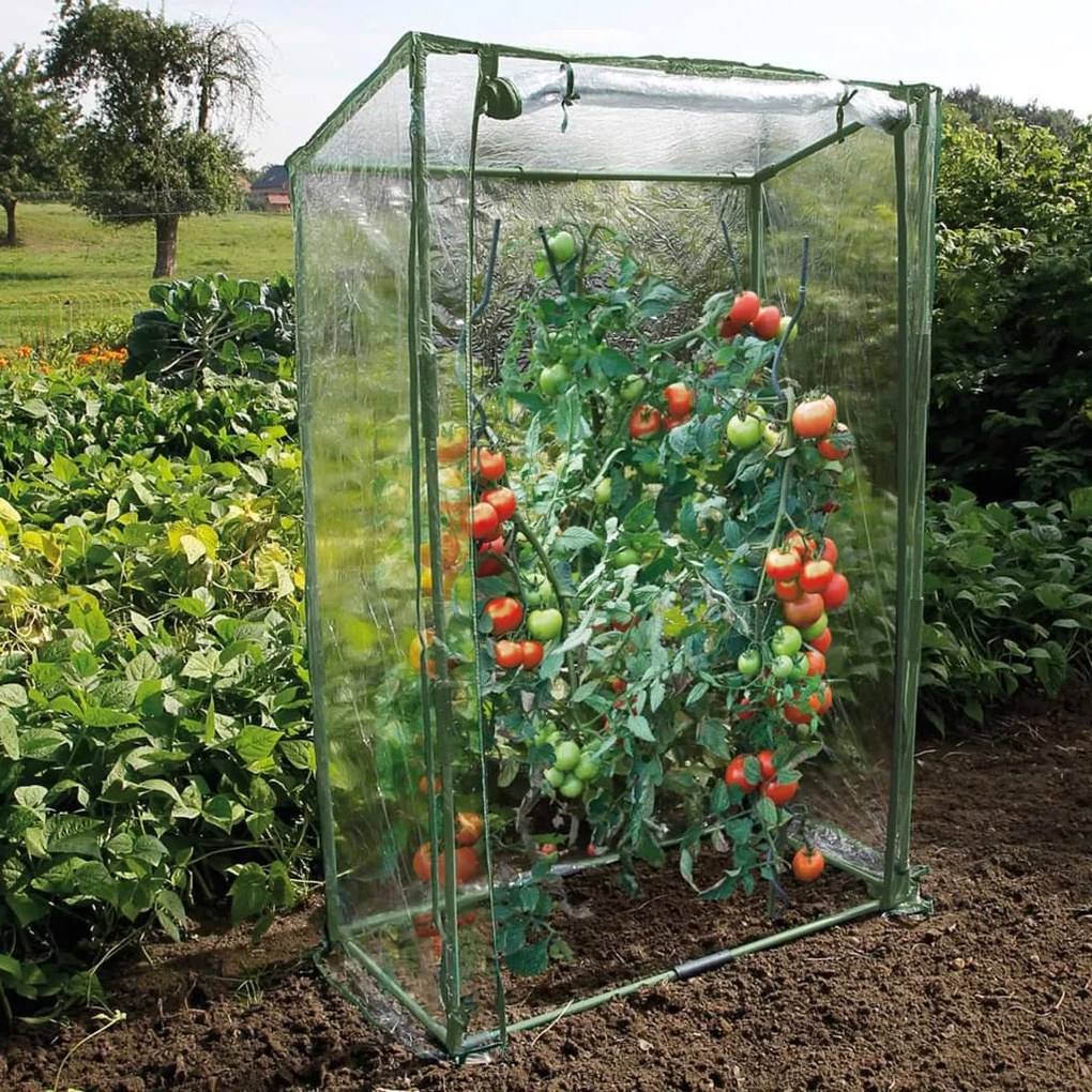 Estufa para tomates 100x50x150 cm