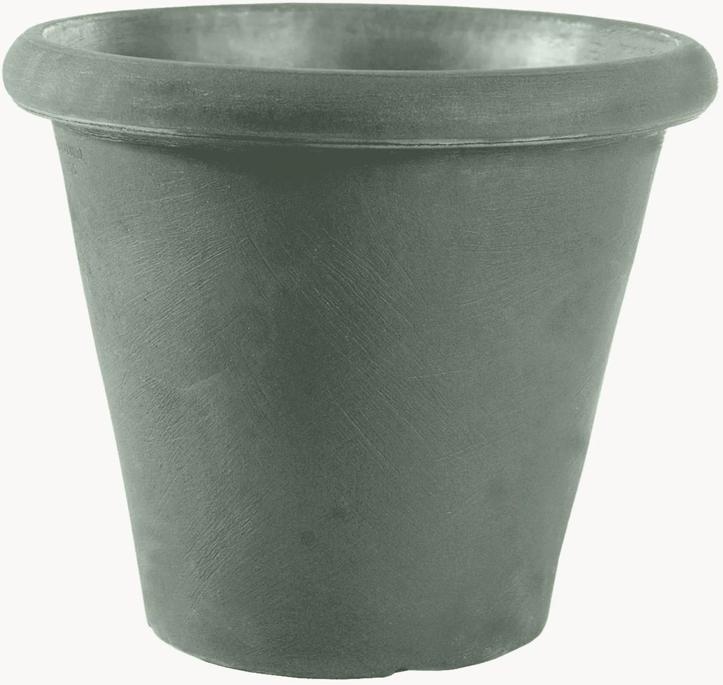 Vaso Camelia