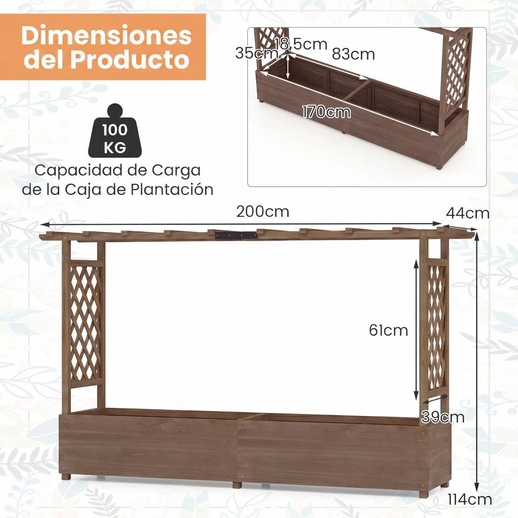 Floreira com Treliça para Plantas Trepadoras, 200 x 44 x 114 cm, Base Removível, Castanho