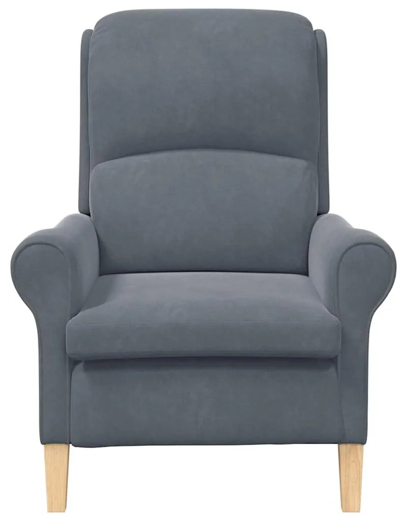 Poltrona Cinza Escura Cinzento escuro Standard
