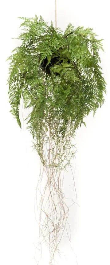 428478 Emerald Feto de pendurar com raízes artificial 35 cm