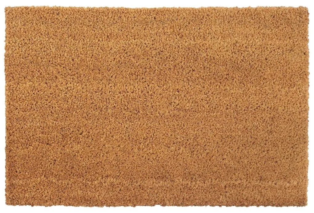 vidaXL Tapete de porta 40x60 cm fibra de coco tufada natural