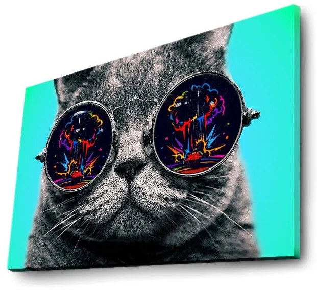 Quadro Decorativo com Luzes LED 4570DACT-61 – Multicolor – 45 x 70 cm