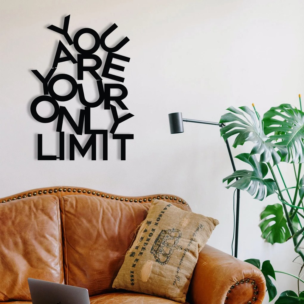 Acessório Decorativo de Parede Limit – Preto – 37 x 52 cm
