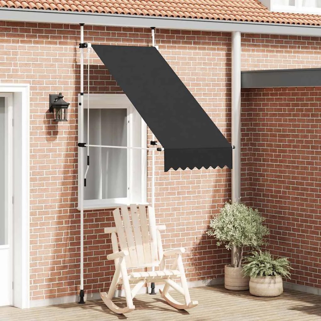 vidaXL Toldo retrátil manual 100 cm antracite