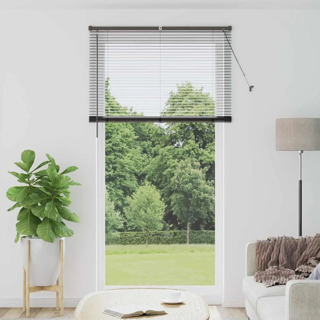Persiana de Janela com cortinas Outros Manual Preto 120 x 220 cm Alumí