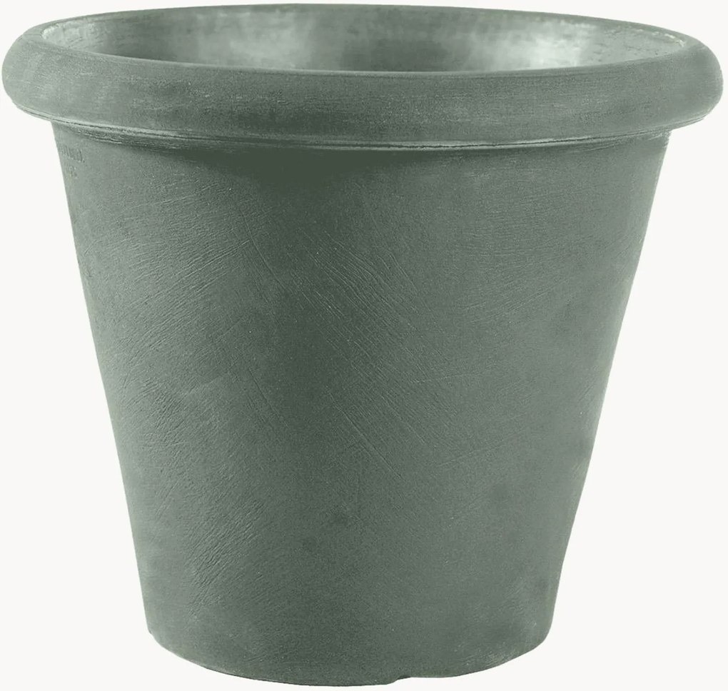 Vaso Camelia