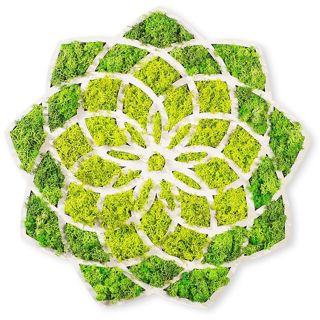 Acessório Decorativo de Parede Daisy – Verde/Branco – 44 x 1,6 x 44 cm